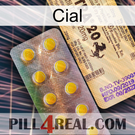 Cial new06